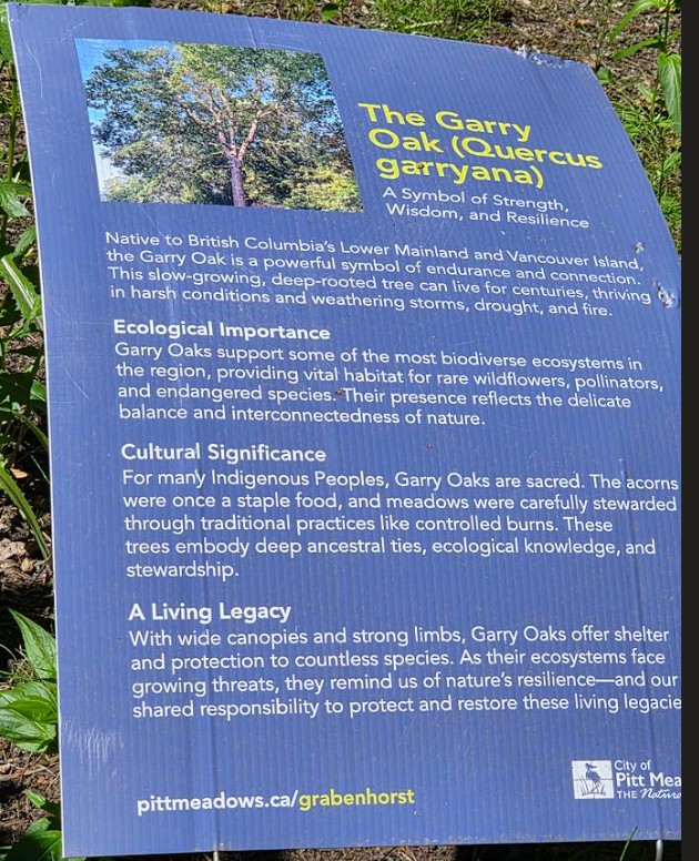 Garry Oak sign